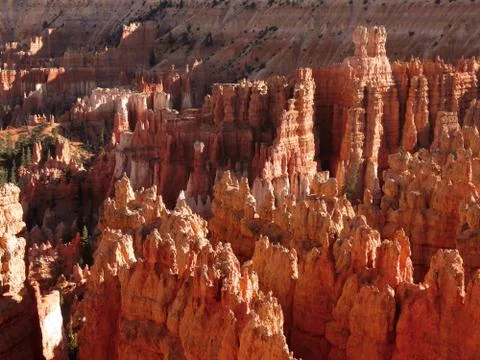 Bryce Canyon Views Stock Photos