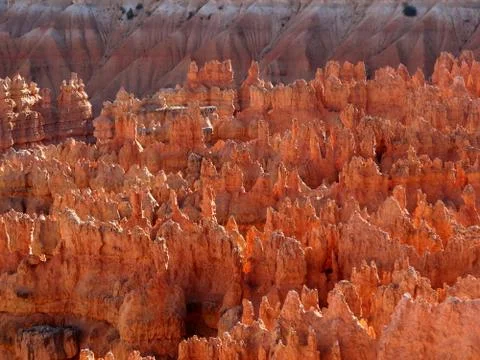 Bryce Canyon Views Stock Photos