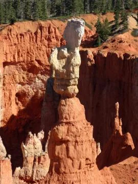 Bryce Canyon Views Stock Photos
