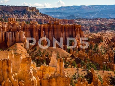 Bryce Canyon Vista, Hoodoos and Mountains Stock Photos