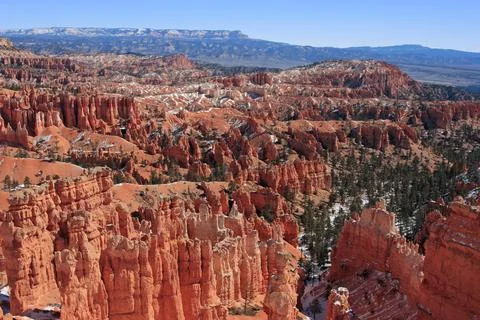 Bryce Canyon in the Winter Stock Photos