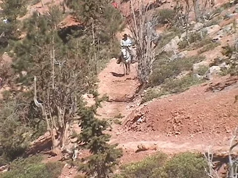 Bryce horseback Video stock 924964