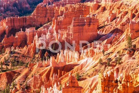 Bryce Stock Photos