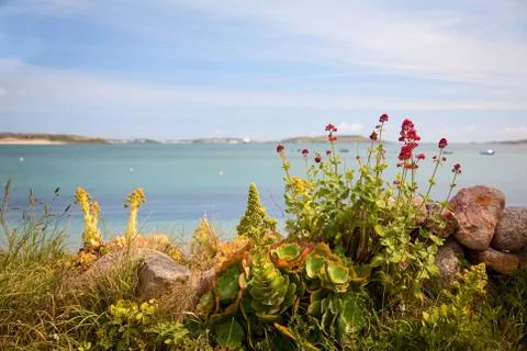 Bryher, isles of scilly Stock Photos