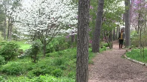 BSP-AT-0033 Stock Footage 11133393