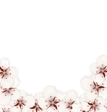 Bstract Border Made in Sakura Flowers Blossom Stock Illustration