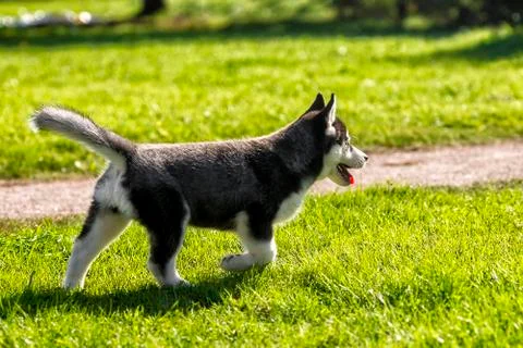 BT9J5268 Stock Photos