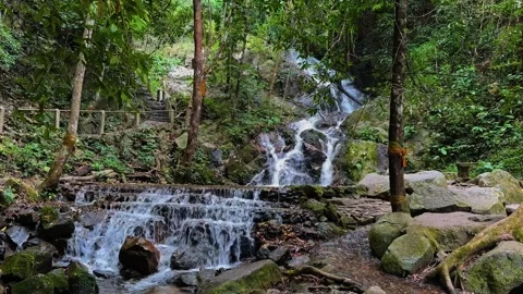 Bua Tong Waterfall With Unique Multi-tiered Limestone Cascade In Chiang Mai 스톡 동영상 331150469