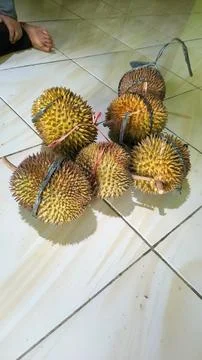 Buah durian Foto stock