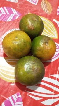Buah jeruk Stock-Fotos