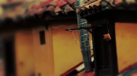 Buardilla Stock Footage 10890580