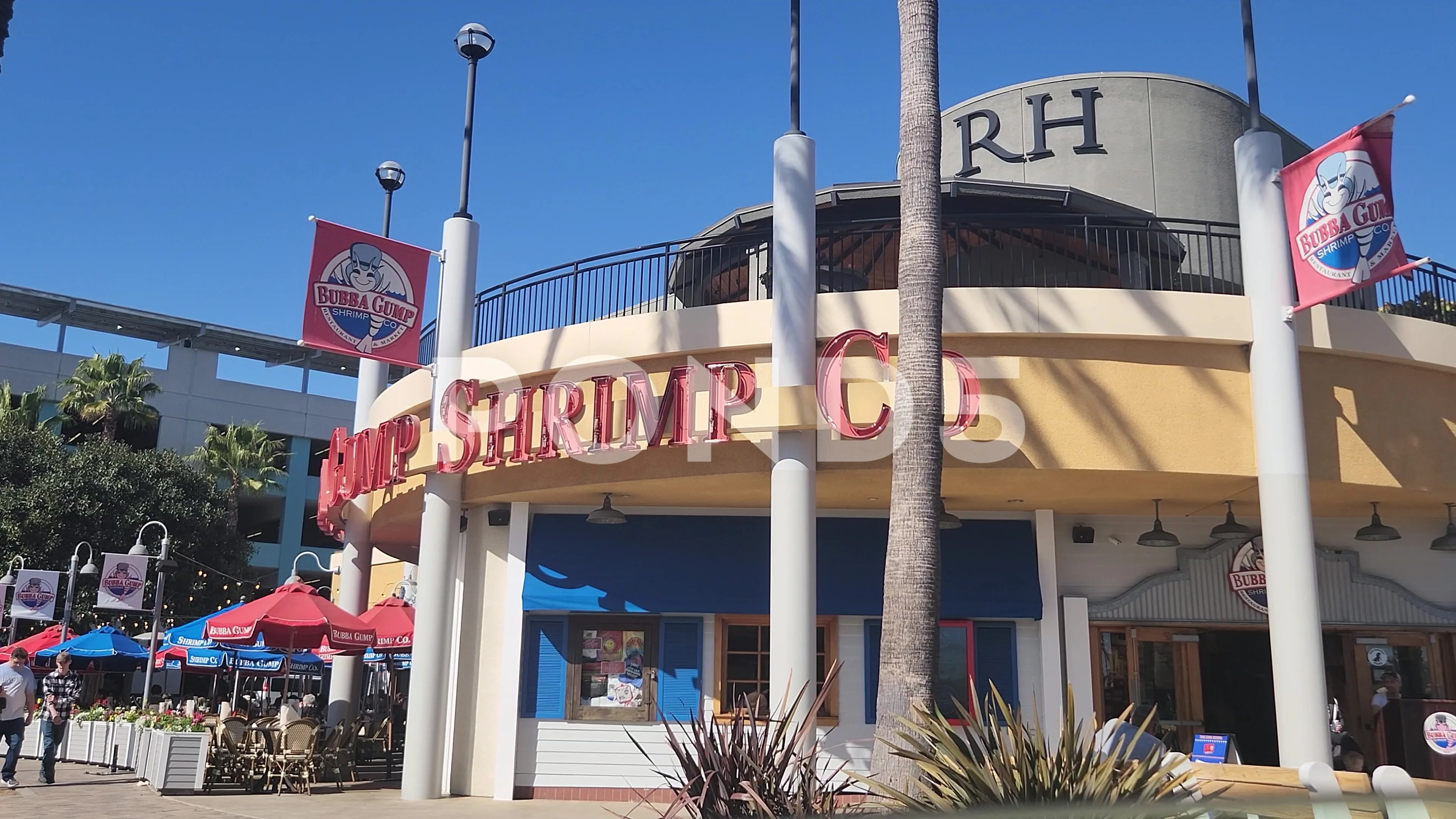 Bubba Gump + Mitchell & Ness, Forrest Gump