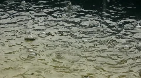 Bubble (1) Stock Footage 11485674