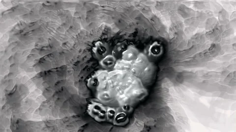 Bubble and herpes,virus and stem cells. Video stock 6085996