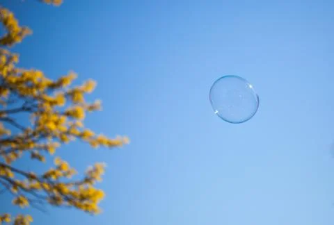 Bubble and yellow tree Stock Photos