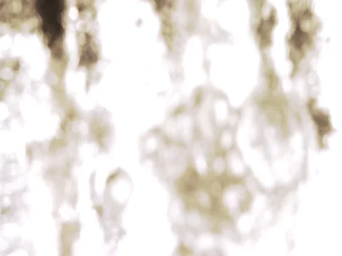 Bubble background colour- redish 動画素材 78620505