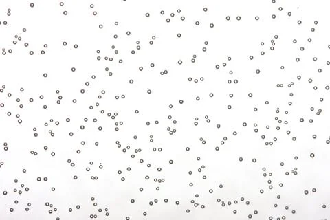 Bubble background Stock Photos