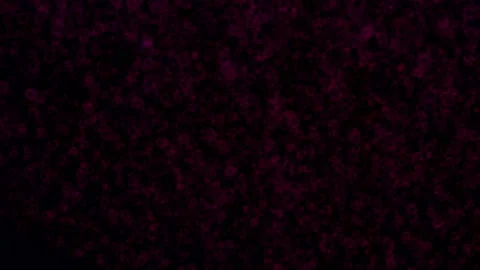 Bubble background,best animation in 4k. Stock Footage 201001858