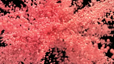 Bubble Burst - foaming balls balloons spheres explosion alpha channel Stock Footage 164872487