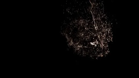 Bubble bursting in slow motion against black background Stock Footage 77158482