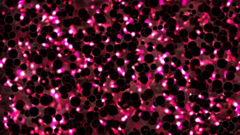 Bubble Cellular Like Foam Abstract Scientific Visuals Video stock 319831154
