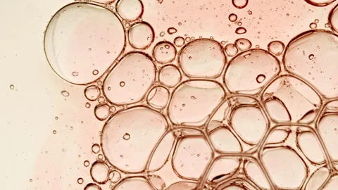 Bubble cluster, cells under a microscope. Transparent cosmetic gel fluid with Video stock 254761763