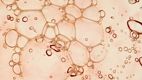 Bubble cluster, cells under a microscope. Transparent cosmetic gel fluid with Video stock 255677149