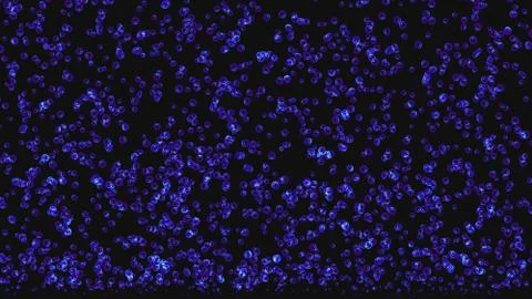 Bubble color 3d render Stock Illustration