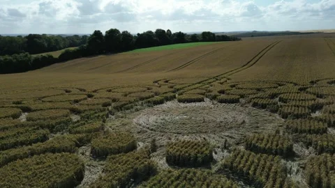 Bubble Crop Circle, 4K Drone View, Beauworth, Hampshire, 9 July 2023 Stock Footage 265717223