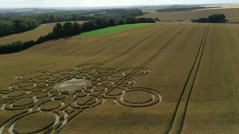 Bubble Crop Circle Drone View, Beauworth, Hampshire, 9th July 2023, 4K Stock Footage 265706641