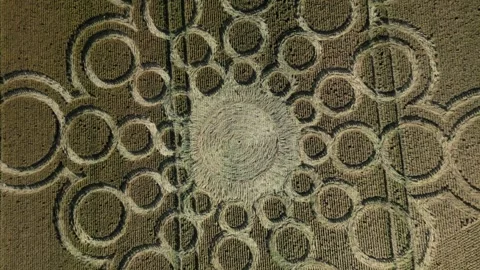 Bubble Crop Circle, Rising Drone View, Beauworth, Hampshire, 9th July 2023, 4K Stock Footage 265724212