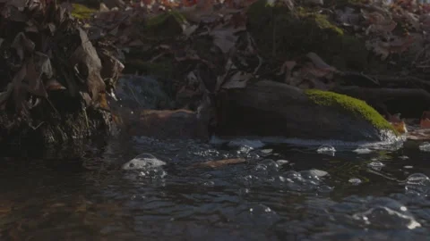 Bubble Floating in a Stream After Small Waterfall Vídeo Stock 235222175