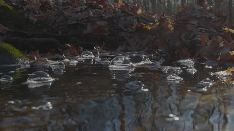 Bubble Floating in a Stream of Flowing Water Vídeo Stock 235221784