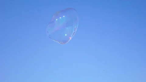 Bubble Stock Footage 169661246