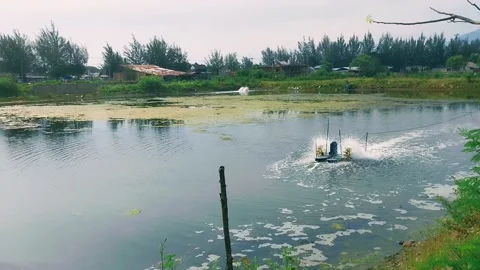 Bubble-Generating Water Wheel for Brackish Water Shrimp and Fish Farms Stock Footage 239921615