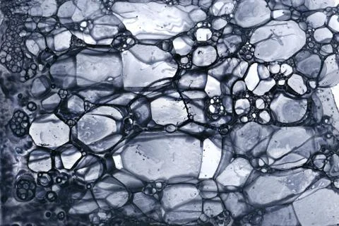 Bubble Grey1 스톡 일러스트