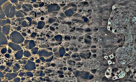 Bubble grunge grey3 스톡 일러스트