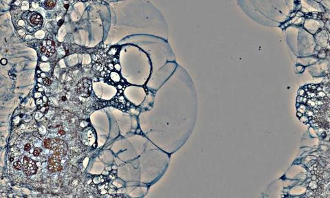 Bubble grunge grey4 스톡 일러스트