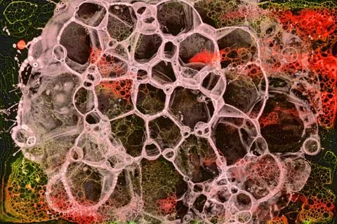 Bubble grunge Multi color2 스톡 일러스트