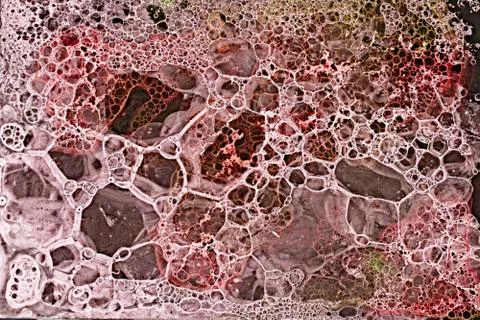 Bubble grunge pink white2 스톡 일러스트
