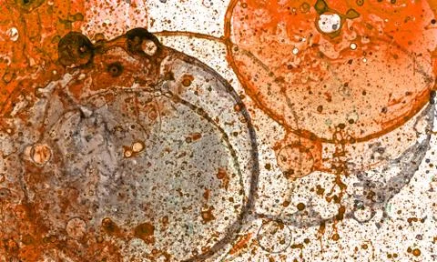 Bubble grunge red1 스톡 일러스트