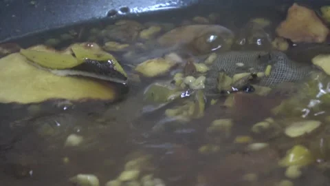 Bubble herbal soup boiling in hot pot close up shot. Video stock 317482848