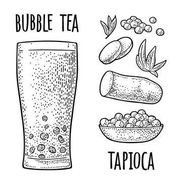 Bubble milk tea with tapioca pearl ball in glass and ingredients engraving 스톡 일러스트