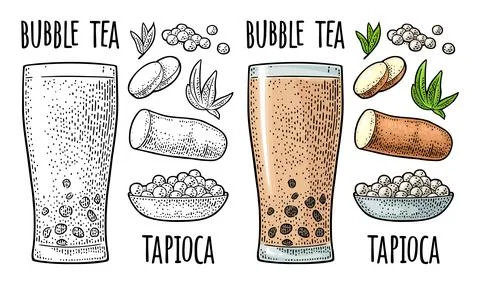 Bubble milk tea with tapioca pearl ball in glass and ingredients engraving 스톡 일러스트