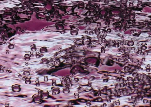 Bubble Stock Photos