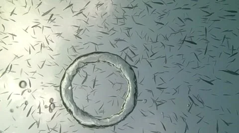 Bubble ring Stock Footage 48238973