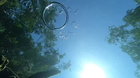 Bubble Rings in a Cenote Stock Footage 200475989