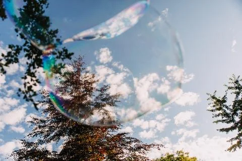 Bubble in the sky of a forest Stock-Fotos