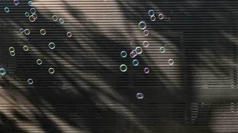 Bubble soap in the morning day Stock Footage 127350149