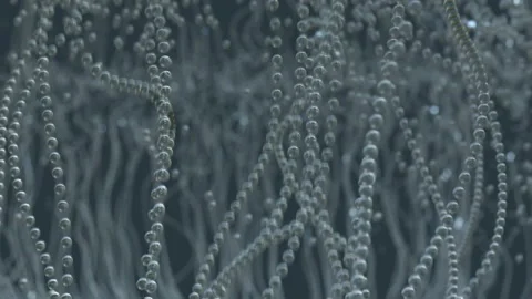 Bubble storm, abstract background Stock Footage 131074481